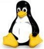 secureSWF for Linux
